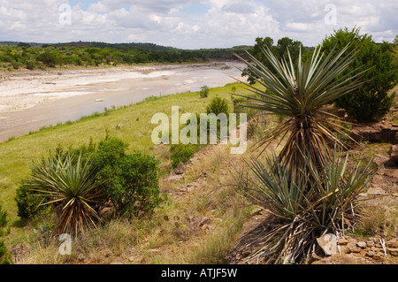 The James River which enters into the Llano River south of Mason Texas Torrey yucca Yucca torreyi or Spanish Dagger in foregroun Stock Photo