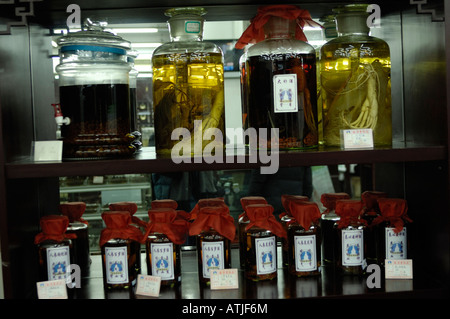 Ginseng in wine jar in Baitasi pharmacy, Beijing, China. 26-Feb-2008 Stock Photo