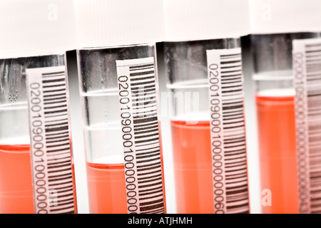 biological samples Stock Photo