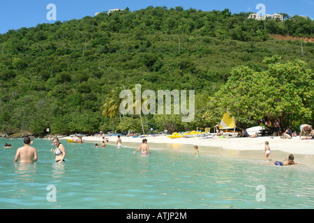 People on beach with lush foliage in background, view from water at Magens Bay, St.Thomas, US Virgin Islands Stock Photo