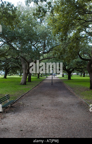 A tree lined walk way White Point Gardens The Battery Charleston SC December 30 2007 Stock Photo