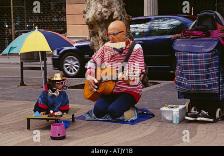 Busker and dog performing on street, Barcelona Stock Photo