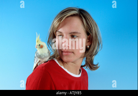 Cockatiel Stock Photo