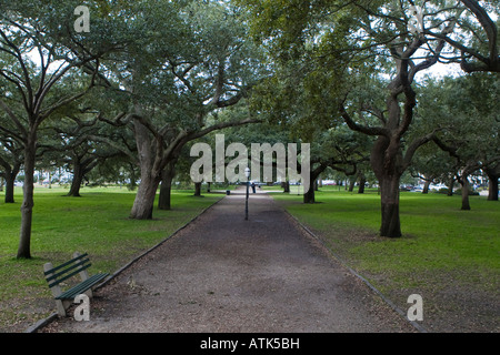 A tree lined walk way White Point Gardens The Battery Charleston SC December 30 2007 Stock Photo