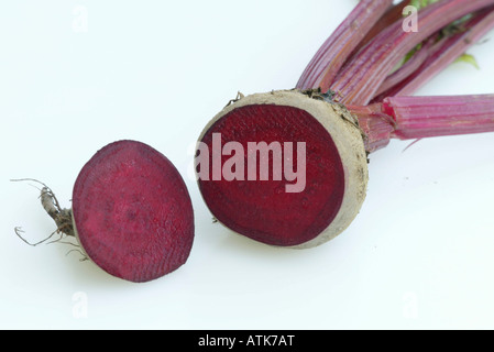 Beet / Rote Beete Stock Photo