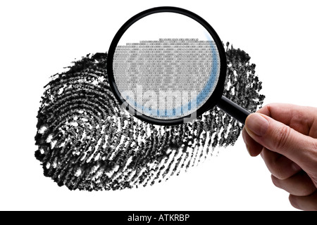 Examine a fingerprint Stock Photo