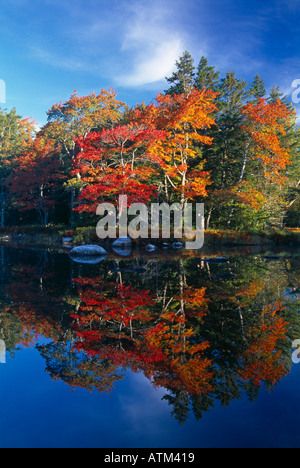 Autumn Mersey River nr Kejimkujik National Park Nova Scotia Canada Stock Photo