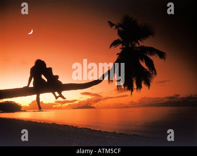 Couple under quarter moon sitting on palm tree trunk leaning out over beach at sunset Stock Photo