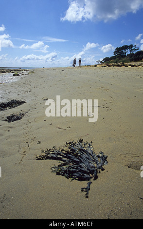 A distant couple walking on a deserted beach Stock Photo