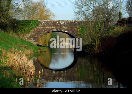 Bridge over the Grand Western Canal near Halberton in Devon Stock Photo