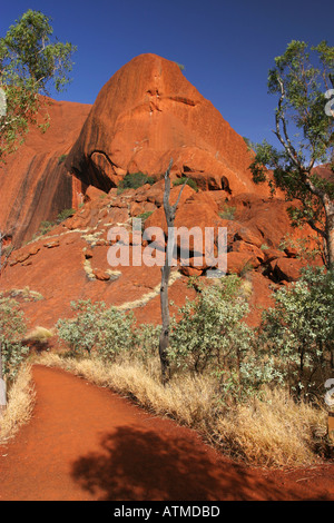 The circular hiking path around Ayers rock Uluru is bright red in early morning sunlight outback desert Northern territory Stock Photo