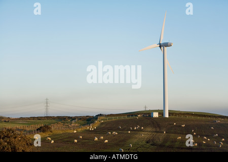 Single wind turbine on a hilltop against a late afternoon clear blue sky with sheep grazing on a hillside Stock Photo