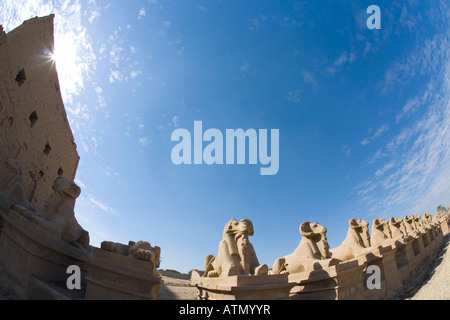 Ram-headed sphinx avenue Temple of Karnak Luxor Egypt North Africa Stock Photo