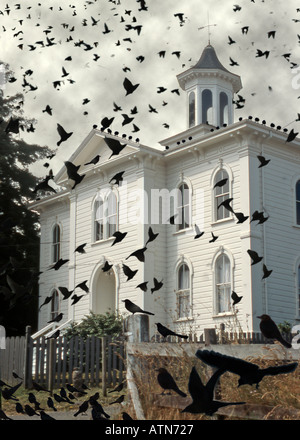 Bird swarm before sinister building Stock Photo