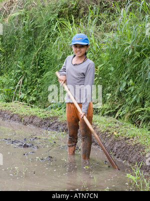 Local Balinese People  Working In Rice Paddy Fields Ubud Bali Indonesia Stock Photo