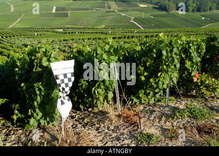 French Vines and Vineyards Champagne Region Crop spray marker bag is placed at end of the row Stock Photo