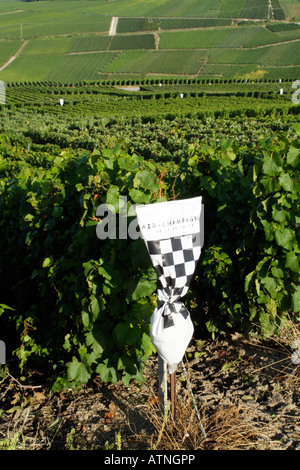French Vines and Vineyards Champagne Region Crop spray marker bag is placed at end of the row Stock Photo
