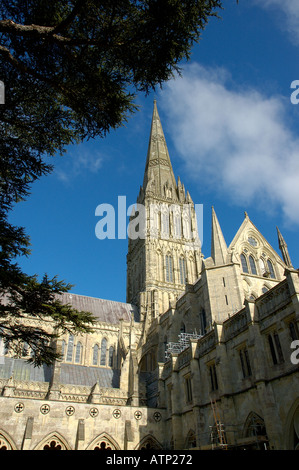 Salisbury Cathedral Salisbury Wiltshire England UK United Kingdom England Stock Photo