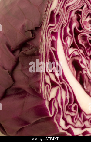 A head of red cabbage sliced in half Stock Photo