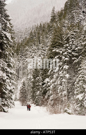 People snowshoeing into the back country during a snow storm in the mountains Millcreek Canyon Wasatch Mountains Utah USA Stock Photo