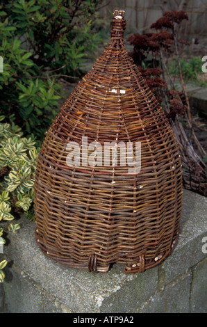 Mike Wilson making traditional hand made Eel trap's from Willow at Lancing  West Sussex Stock Photo - Alamy