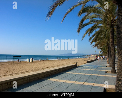 Beach in Salou in Catalonia in Spain with Palm trees Stock Photo - Alamy