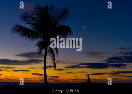 Quarter moon rising before sunrise over the Atlantic Ocean behind the silhouette of a palm tree Stock Photo