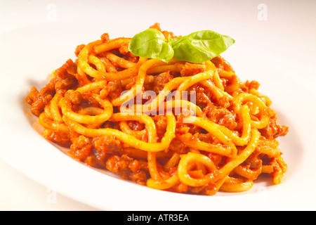 Spaghetti Bolognese on white plate garnished with fresh Basil Stock Photo