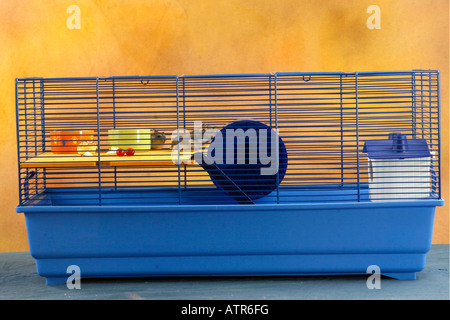 Russian Dwarf Hamster Stock Photo