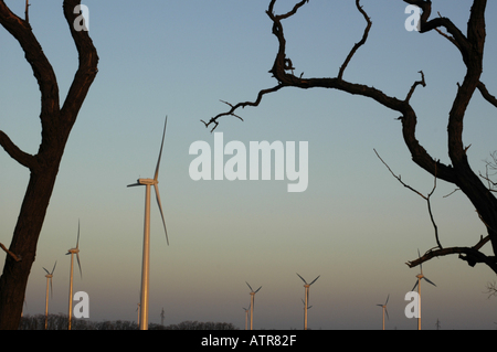 dead trees wind energy plant wind turbine Stock Photo