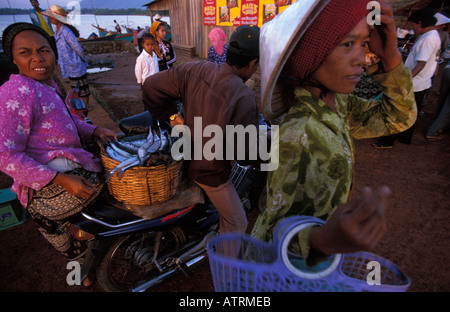 Kampot early morning fish market Stock Photo