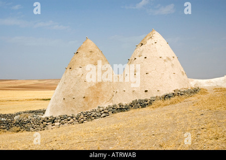 Mud and straw Beehive houses of northern Syria, Middle East. DSC 6205 Stock Photo