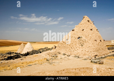 Beehive houses of northern Syria, Middle East. DSC 6212 Stock Photo