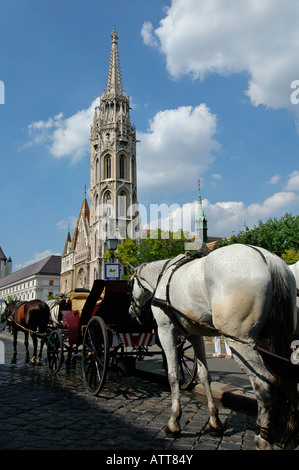 Horse drawn carriages next to the Roman Catholic Matthias or Matyas church built in the late Gothic style in the Buda castle district Budapest Hungary Stock Photo