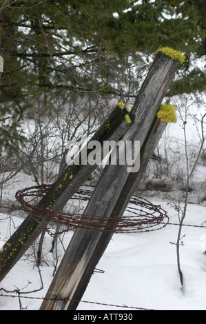 Barbed Wire on Fence Post Stock Photo