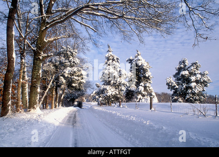 Country Road and Snow Covered Winter Landscape Harrison County Indiana Stock Photo