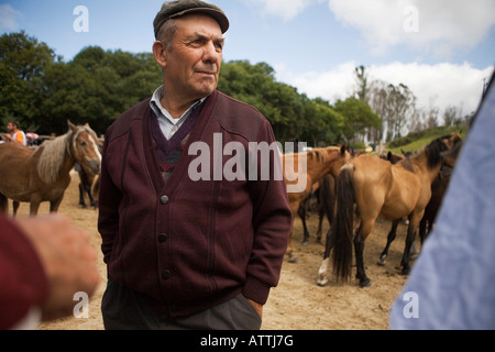 Wild Horses Festival Fiesta Rapa das Besta in Galicia, Domaio, Spain, Europe EU Stock Photo