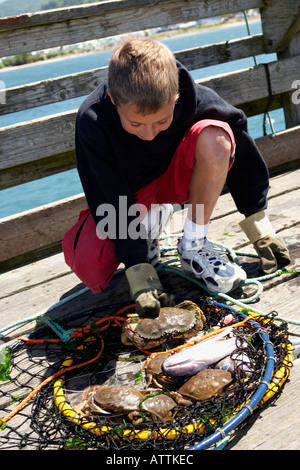 Boy crabbing on a pier Stock Photo