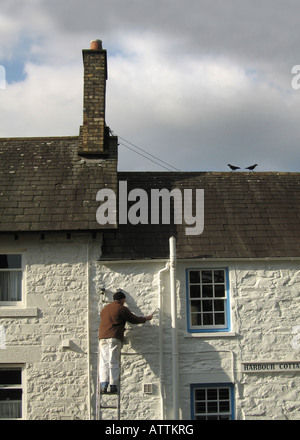 A decorator paints the whitewall of The Harbour Cottage Gallery in Kirkcudbright, Dumfries and Galloway. Two jackdaws on the roof above him Stock Photo