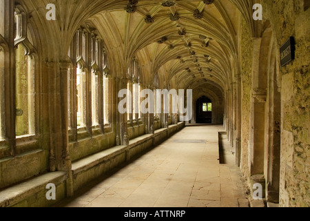 Cloister Lacock Abbey Wiltshire uk Stock Photo