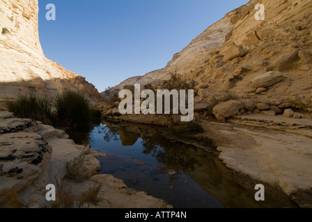 oasis at Ein Avdat negev desert Israel Stock Photo