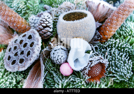 frost covered flower arrangement Stock Photo