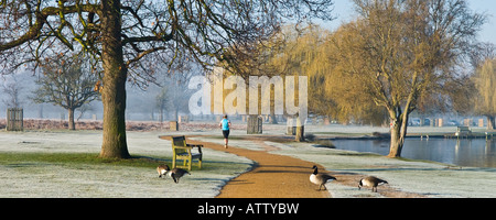 Young woman jogging in Bushy Park in the morning Richmond upon Thames Greater London England UK Stock Photo