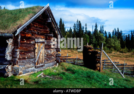 Old hut in summer landscape Stock Photo