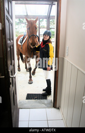 Horse to a door Stock Photo