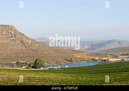 Vineyards and irrigation near Clanwilliam South Africa Stock Photo