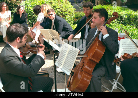 Musicians ages 31 and 27 playing for wedding reception. San Francisco California USA Stock Photo