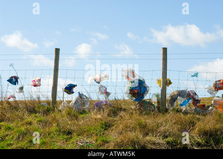 Wind-blown plastic bags trapped on a fence in Oxfordshire, England Stock Photo