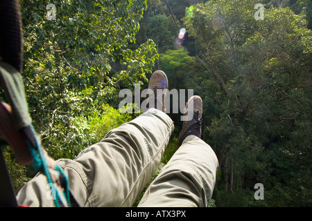 view from a zip line at The Gibbon Experience near Huay Xai on the Mekong river near the Laos Thai border Stock Photo