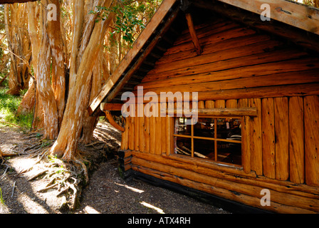 Old Cabin in the woods, Los Arrayanes National Park, Peninsula de Quetrihue, Neuquen, Argentina, South America Stock Photo